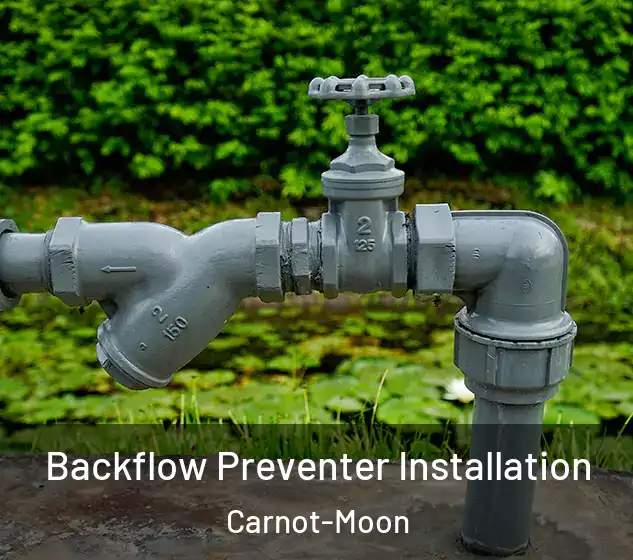  Backflow Preventer Installation Carnot-Moon