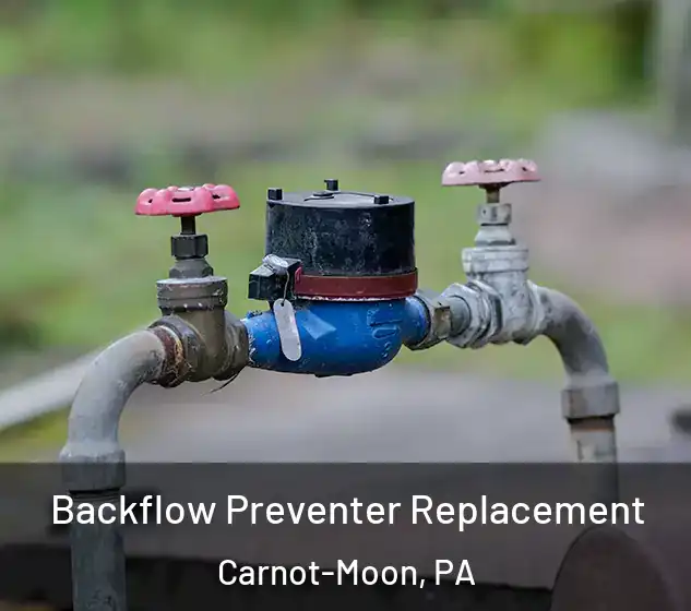  Backflow Preventer Replacement Carnot-Moon, PA