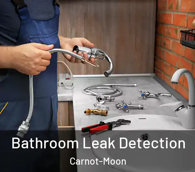  Bathroom Leak Detection Carnot-Moon