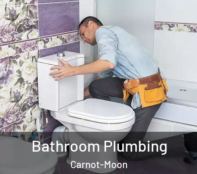  Bathroom Plumbing Carnot-Moon