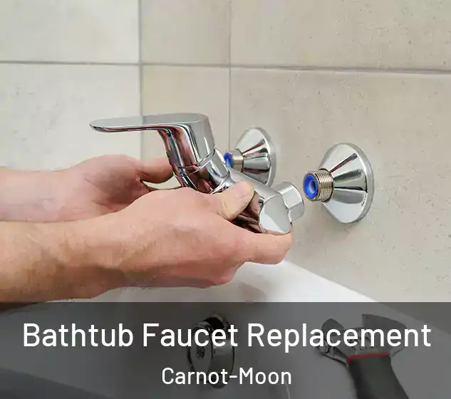  Bathtub Faucet Replacement Carnot-Moon