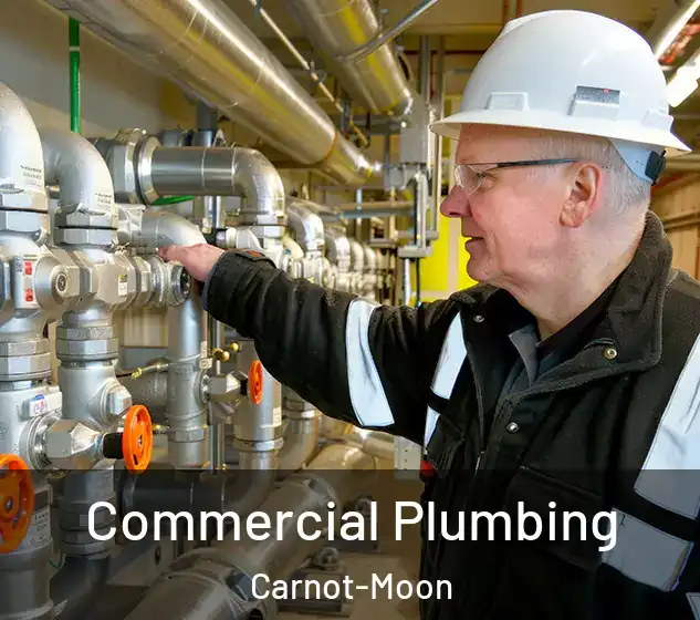  Commercial Plumbing Carnot-Moon