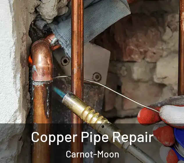  Copper Pipe Repair Carnot-Moon
