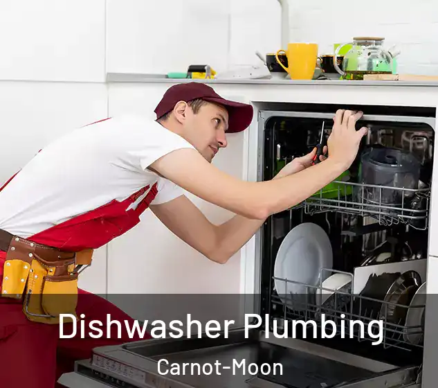  Dishwasher Plumbing Carnot-Moon