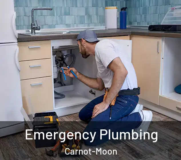  Emergency Plumbing Carnot-Moon