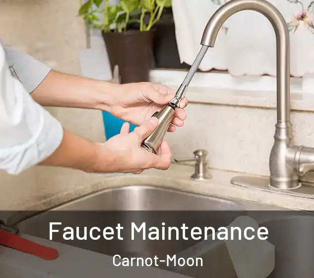  Faucet Maintenance Carnot-Moon