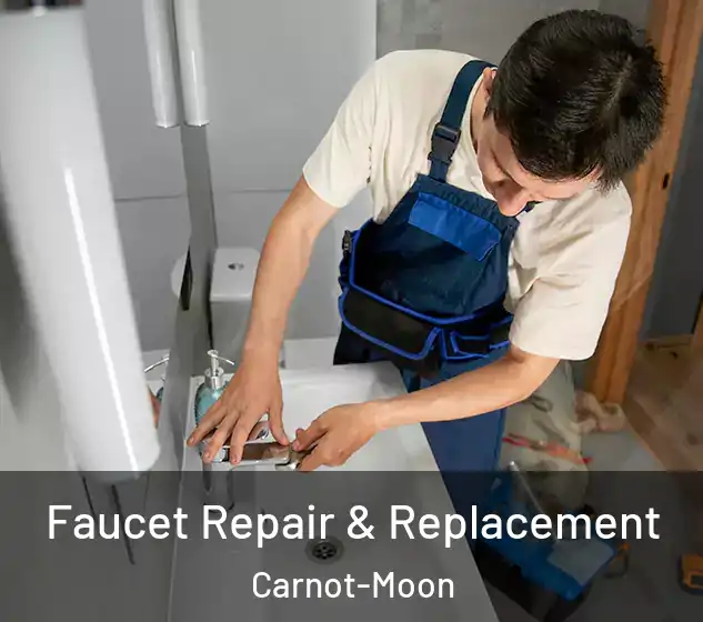 Faucet Repair & Replacement Carnot-Moon