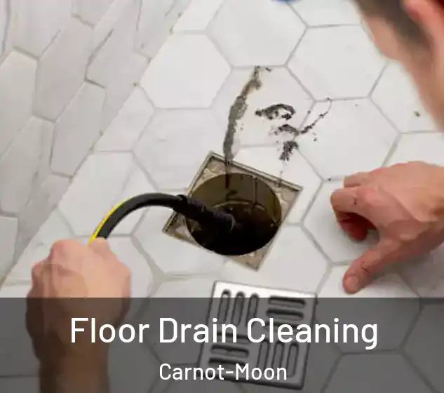  Floor Drain Cleaning Carnot-Moon
