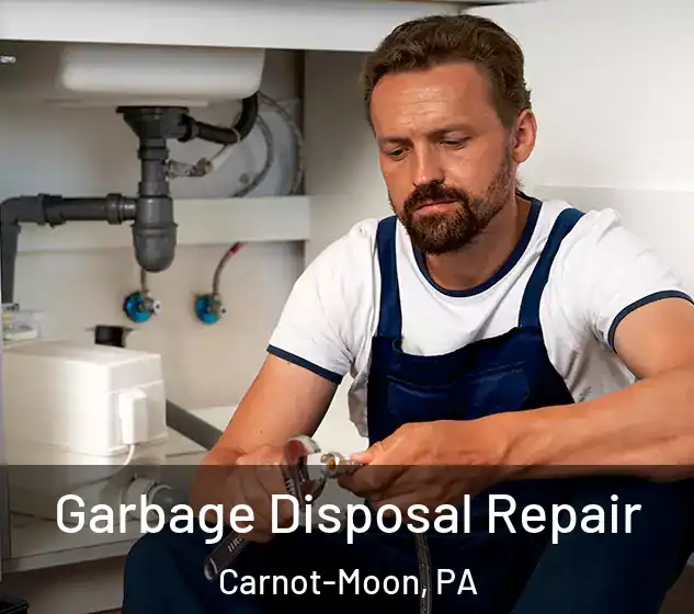  Garbage Disposal Repair Carnot-Moon, PA