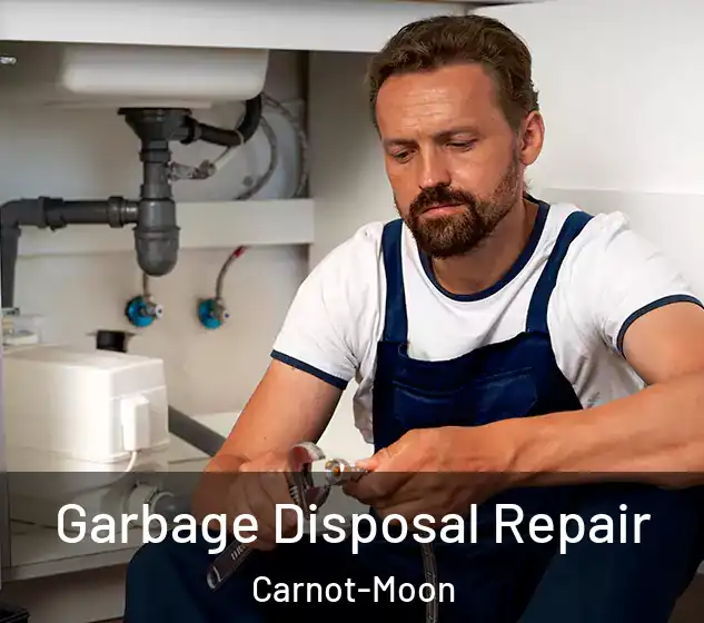  Garbage Disposal Repair Carnot-Moon