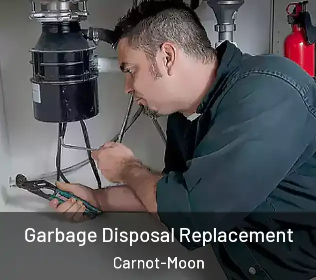  Garbage Disposal Replacement Carnot-Moon