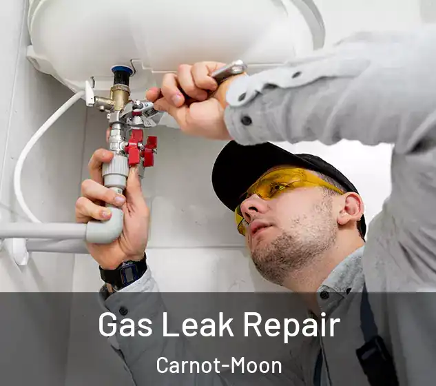  Gas Leak Repair Carnot-Moon