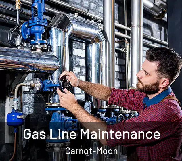  Gas Line Maintenance Carnot-Moon