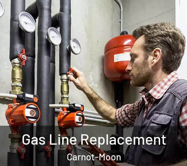  Gas Line Replacement Carnot-Moon