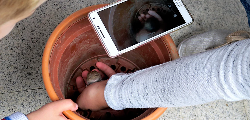 Scope of Drain Camera Inspection Services in Carnot-Moon, PA