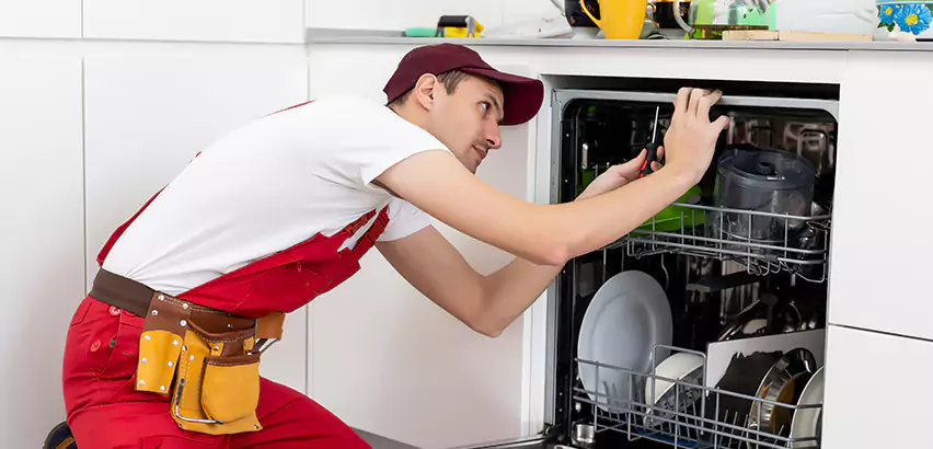 Scope of Kitchen Dishwasher Installation Services in Carnot-Moon, PA