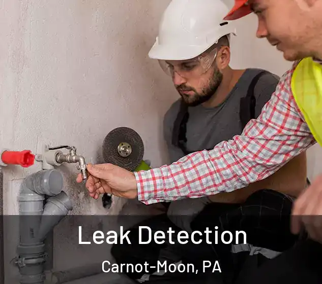 Leak Detection Carnot-Moon, PA