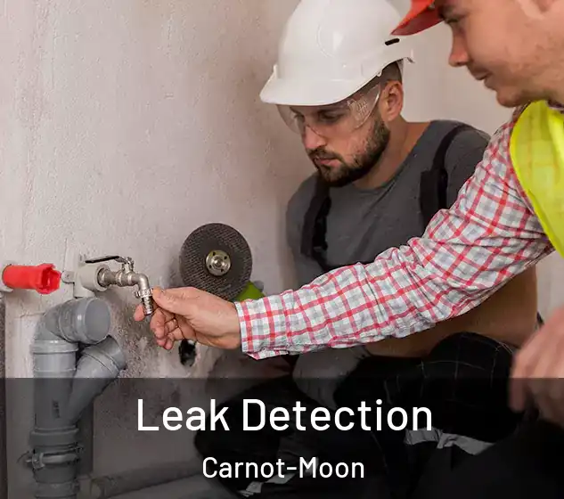  Leak Detection Carnot-Moon