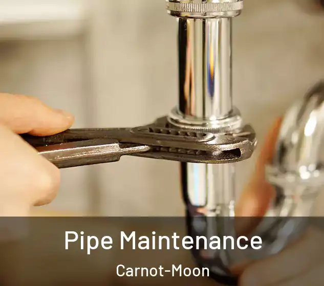  Pipe Maintenance Carnot-Moon
