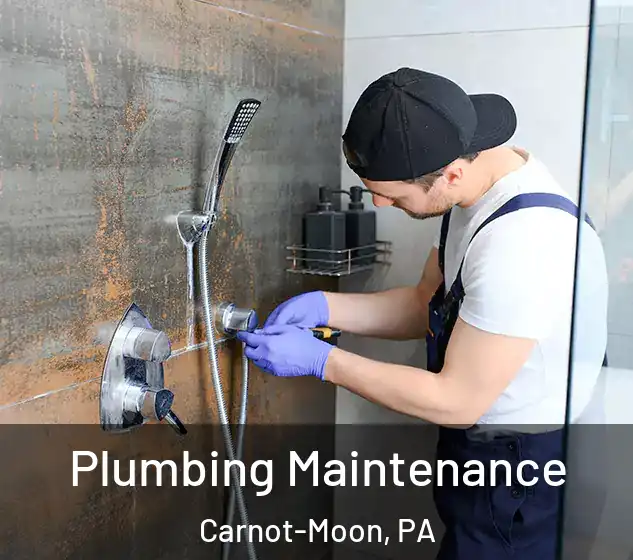  Plumbing Maintenance Carnot-Moon, PA