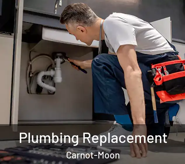  Plumbing Replacement Carnot-Moon