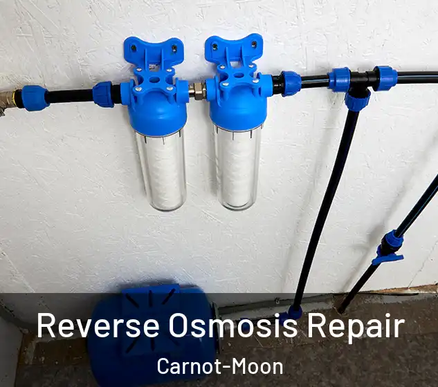  Reverse Osmosis Repair Carnot-Moon