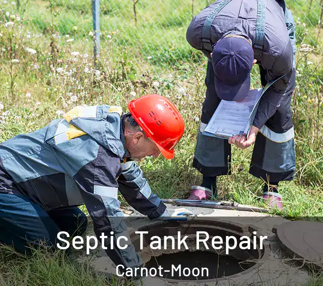  Septic Tank Repair Carnot-Moon