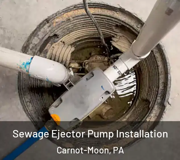  Sewage Ejector Pump Installation Carnot-Moon, PA