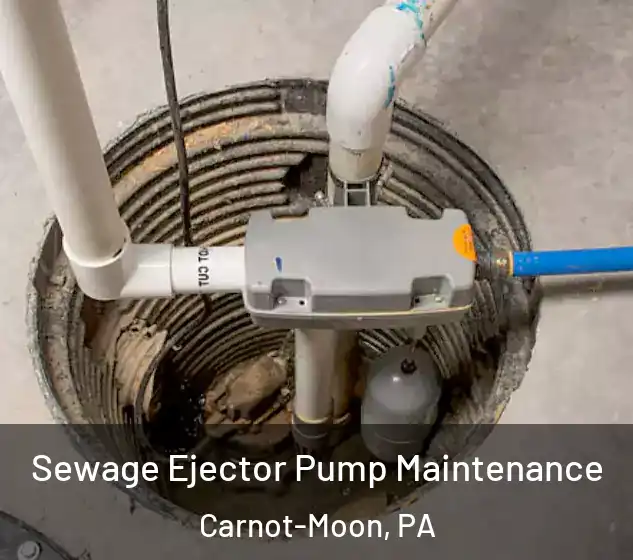  Sewage Ejector Pump Maintenance Carnot-Moon, PA