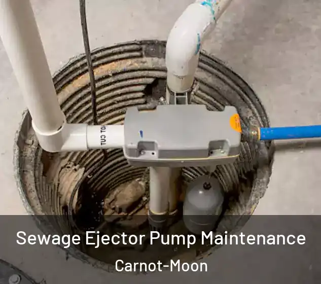  Sewage Ejector Pump Maintenance Carnot-Moon