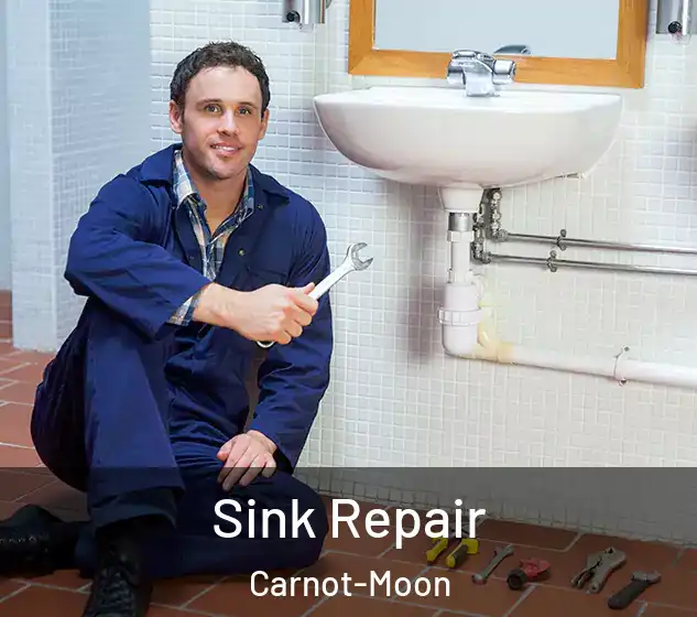  Sink Repair Carnot-Moon
