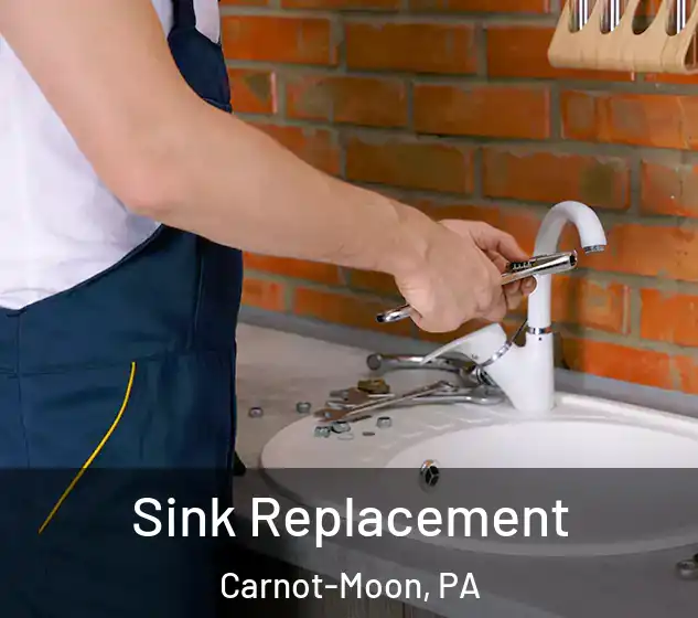  Sink Replacement Carnot-Moon, PA