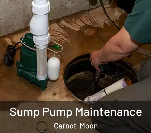  Sump Pump Maintenance Carnot-Moon