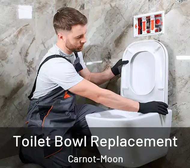  Toilet Bowl Replacement Carnot-Moon