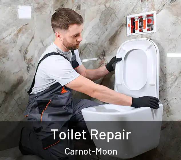  Toilet Repair Carnot-Moon