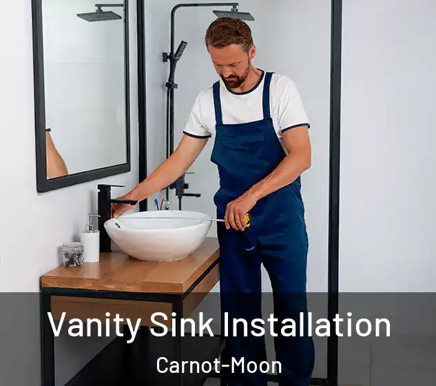  Vanity Sink Installation Carnot-Moon