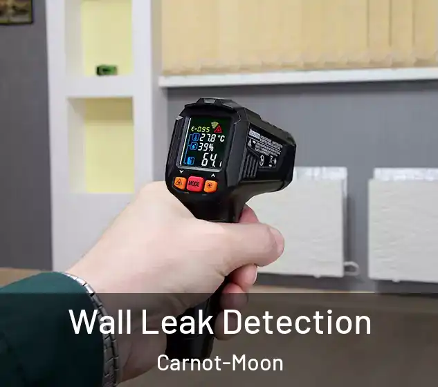  Wall Leak Detection Carnot-Moon