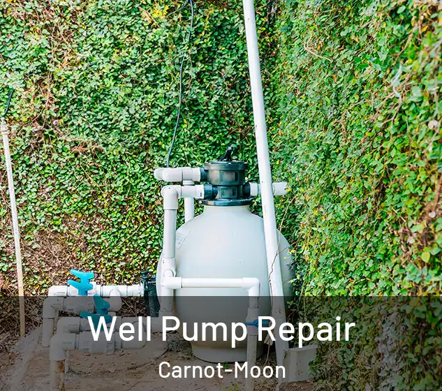 Well Pump Repair Carnot-Moon