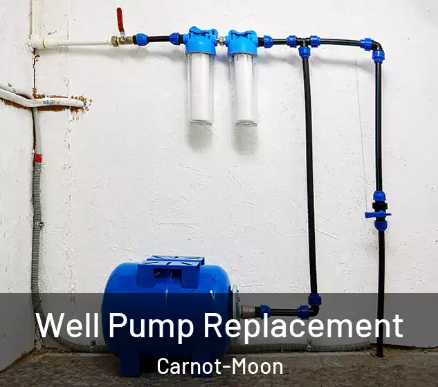  Well Pump Replacement Carnot-Moon